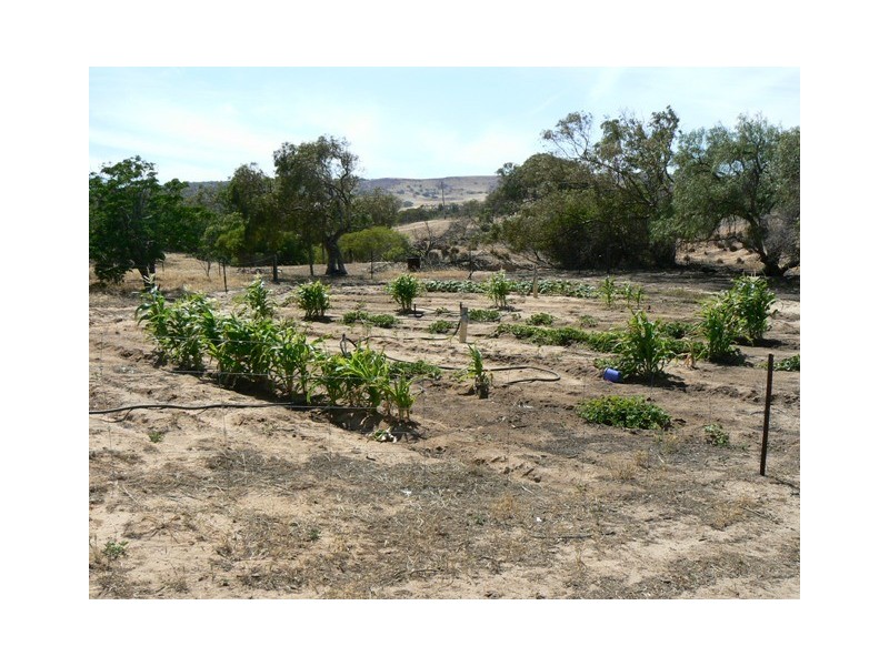 591 David Road, White Peak WA 6532