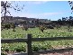 3 Trant Road, Moresby WA 6530