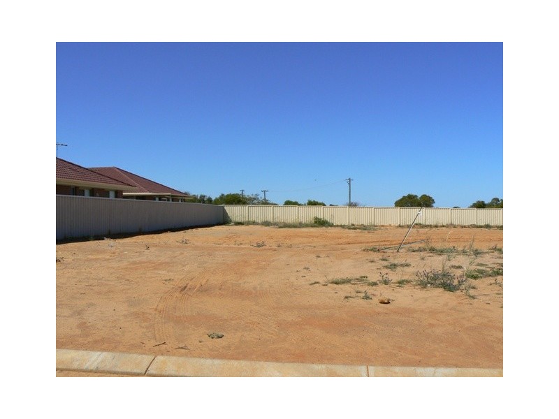 8 Ego Creek Loop, Waggrakine WA 6530