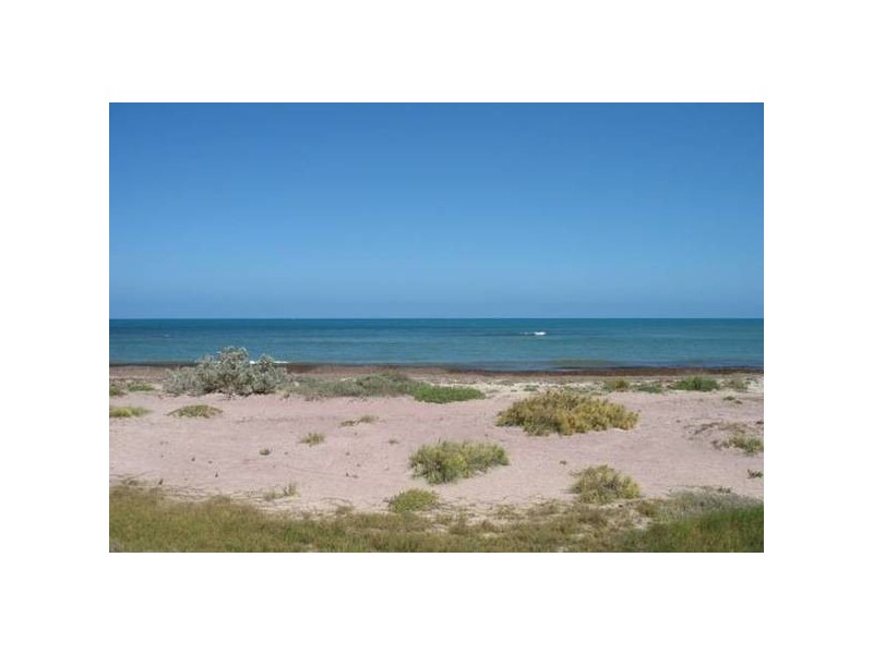 3 Crowtherton Street, Bluff Point WA 6530