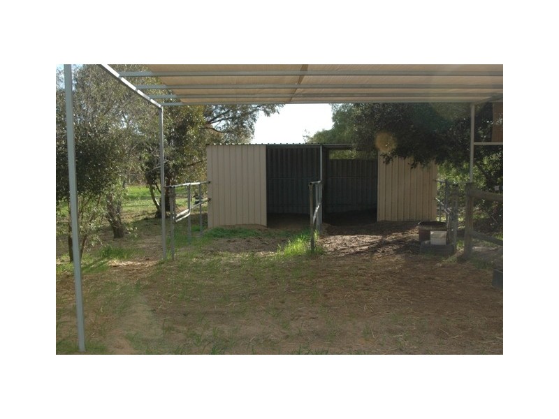 47 Arnold Road, Waggrakine WA 6530