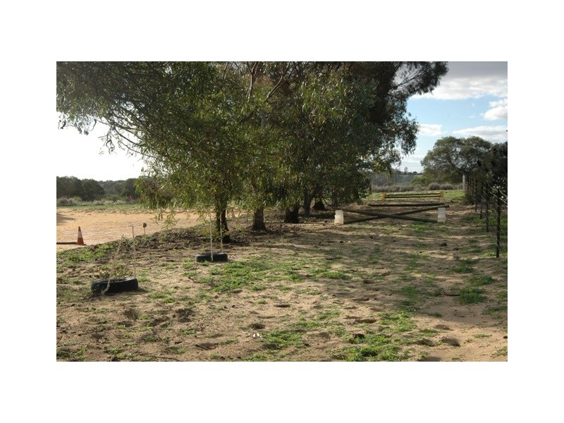 47 Arnold Road, Waggrakine WA 6530