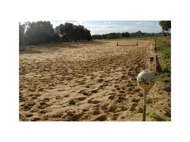 47 Arnold Road, Waggrakine WA 6530