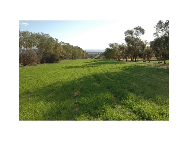 47 Arnold Road, Waggrakine WA 6530