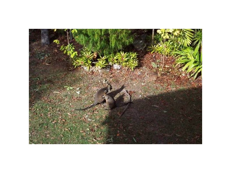 Springwood Road, Springwood QLD 4127