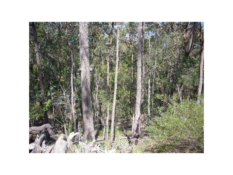56a Highview Terrace, Daisy Hill QLD 4127