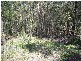 56a Highview Terrace, Daisy Hill QLD 4127