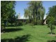 423 Croobyar Road, Milton NSW 2538