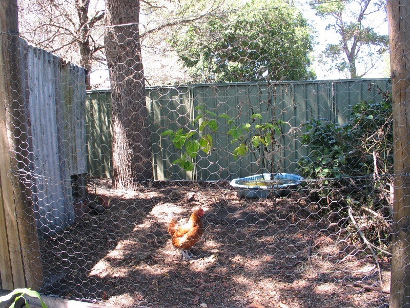 6 Ravenscliffe Road, Shoalhaven Heads NSW 2535