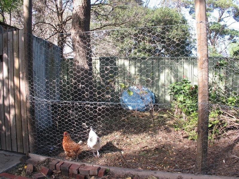 6 Ravenscliffe Road, Shoalhaven Heads NSW 2535