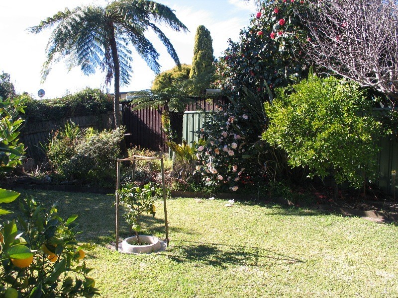 15 Towers Road, Shoalhaven Heads NSW 2535