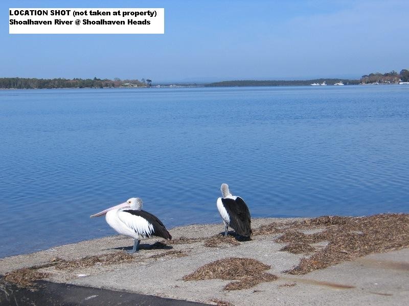 38 McIntosh Street, Shoalhaven Heads NSW 2535