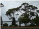 1 River Road, Shoalhaven Heads NSW 2535