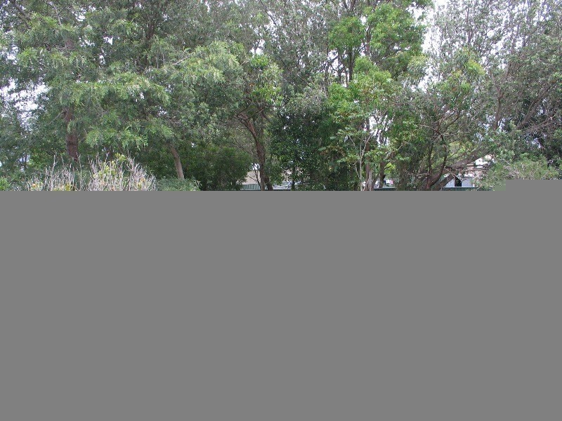 12a Davenport Road, Shoalhaven Heads NSW 2535