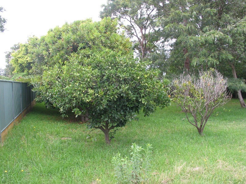 12a Davenport Road, Shoalhaven Heads NSW 2535