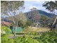4/145 Scott Street, Shoalhaven Heads NSW 2535