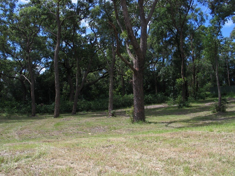 Lot 405 Discovery Place, Shoalhaven Heads NSW 2535