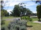 2 David Berry Street, Shoalhaven Heads NSW 2535