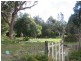 105 Jerry Bailey Road, Shoalhaven Heads NSW 2535