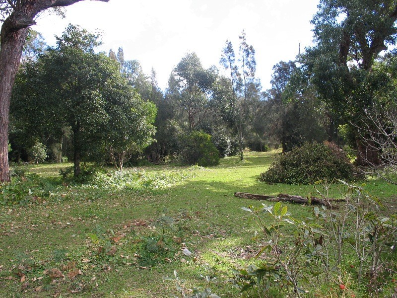 105 Jerry Bailey Road, Shoalhaven Heads NSW 2535