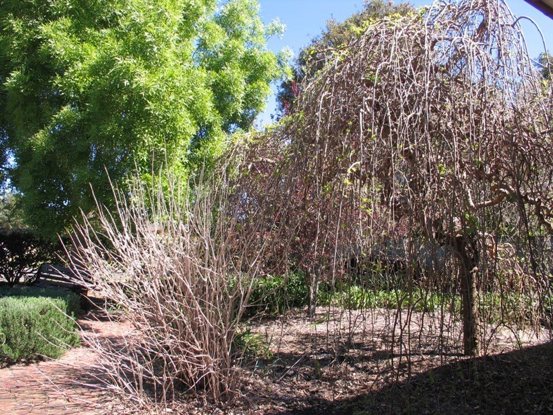1 Rygate Place, Shoalhaven Heads NSW 2535