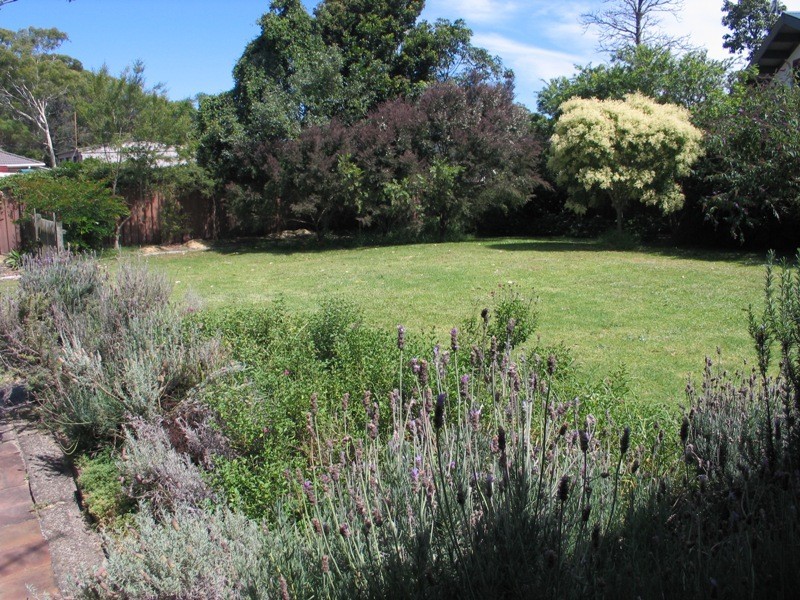 17a Mathews Street, Shoalhaven Heads NSW 2535