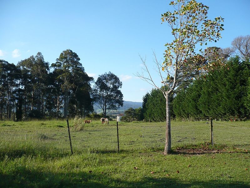 C130 Princes Highway, Meroo Meadow NSW 2540