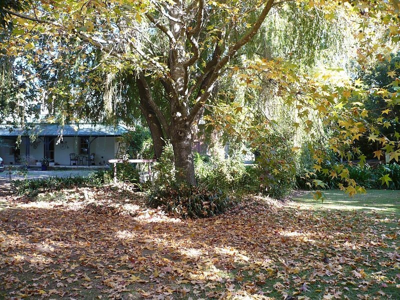 1180 Bolong Road, Coolangatta NSW 2535