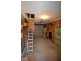 5/133 Scott Street, Shoalhaven Heads NSW 2535