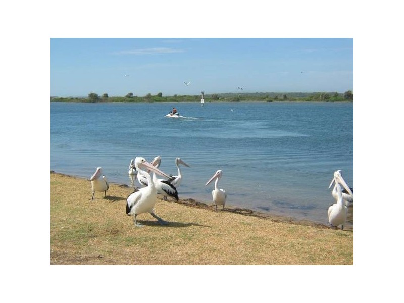 35 Renown Avenue, Shoalhaven Heads NSW 2535