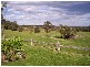 140 Comperton Road, Falls Creek NSW 2540