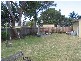 12 Woolstencraft Street, Shoalhaven Heads NSW 2535