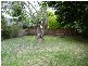 10 West Street, Nowra NSW 2541
