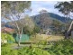 4/145 Scott Street, Shoalhaven Heads NSW 2535