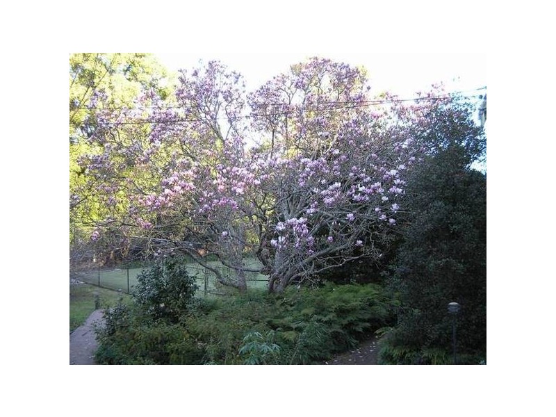 125 Brinawarr Street, Berry NSW 2535