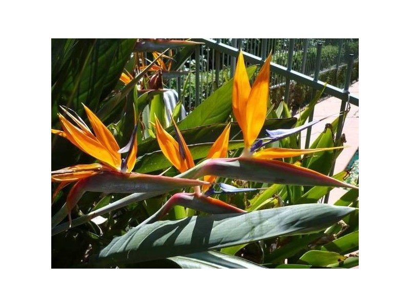 125 Brinawarr Street, Berry NSW 2535