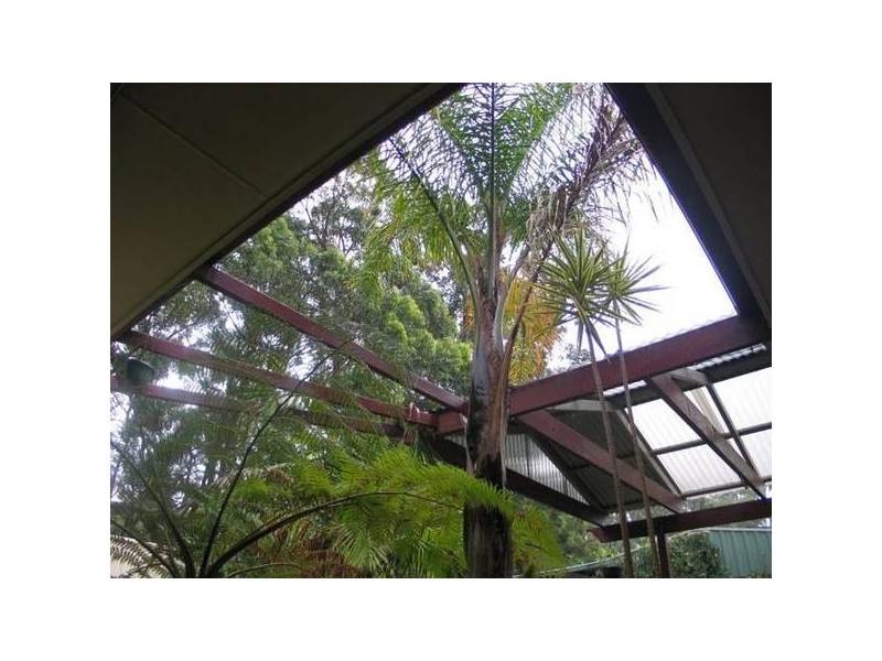 4 Discovery Place, Shoalhaven Heads NSW 2535