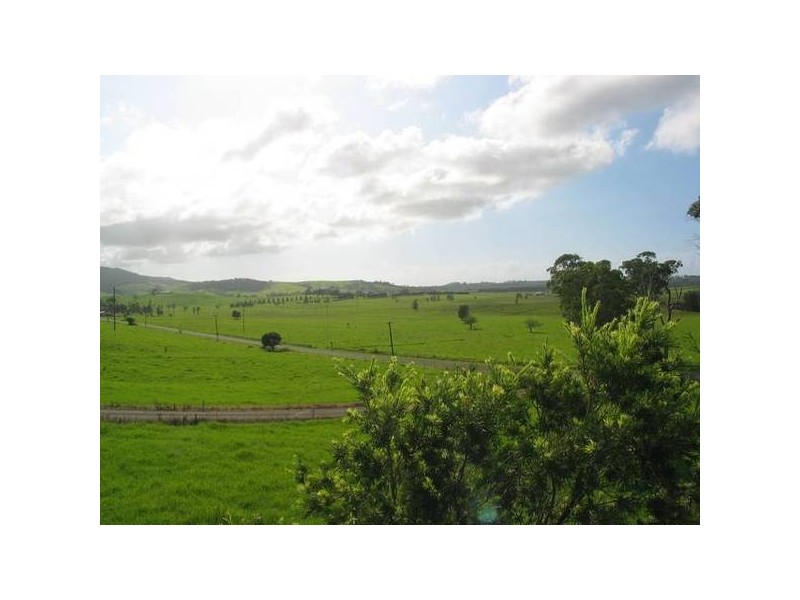 156 Toolijooa Road, Toolijooa NSW 2534