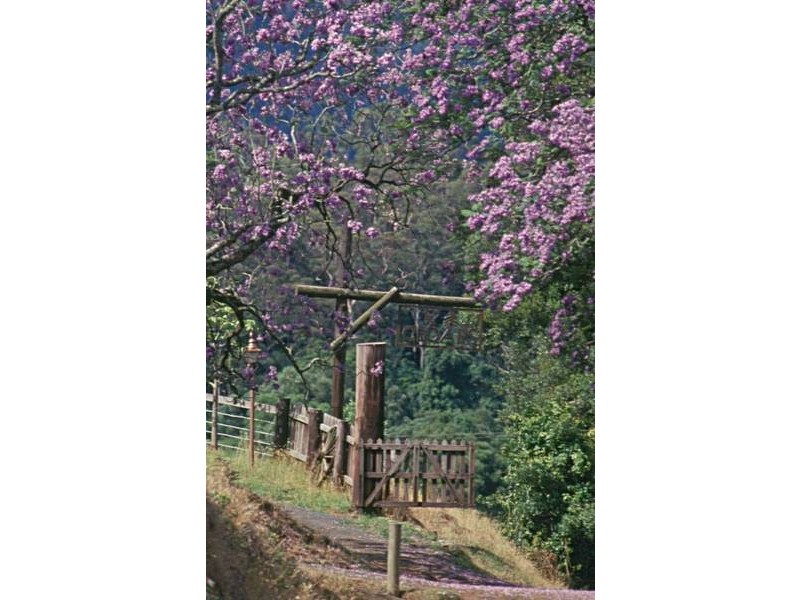 Bunkers Hill Road, Barrengarry NSW 2577