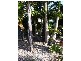 109 Jerry Bailey Road, Shoalhaven Heads NSW 2535