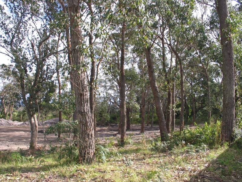 18 Scott Street, Shoalhaven Heads NSW 2535