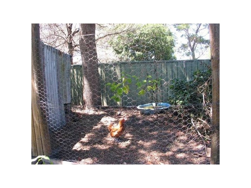 6 Ravenscliffe Road, Shoalhaven Heads NSW 2535