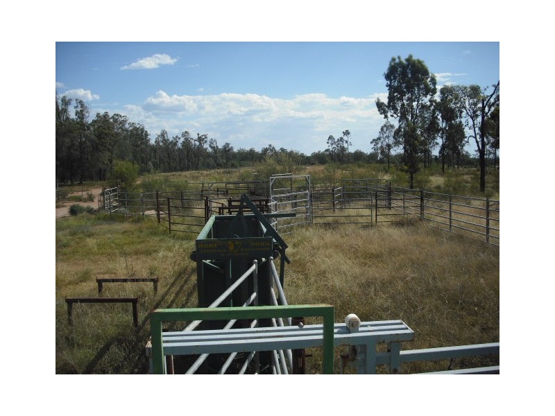 * Merton Rd, Goondiwindi QLD 4390