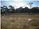* Merton Rd, Goondiwindi QLD 4390