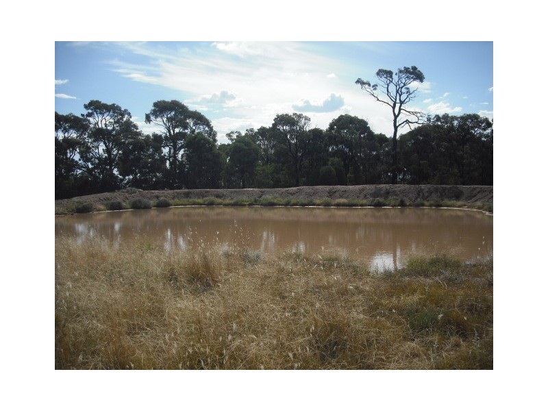 * Merton Rd, Goondiwindi QLD 4390