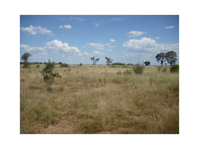 * Merton Rd, Goondiwindi QLD 4390