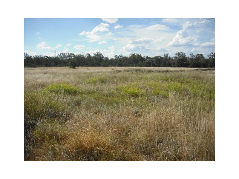 * Merton Rd, Goondiwindi QLD 4390