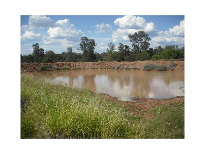 * Merton Rd, Goondiwindi QLD 4390