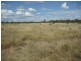 * Merton Rd, Goondiwindi QLD 4390