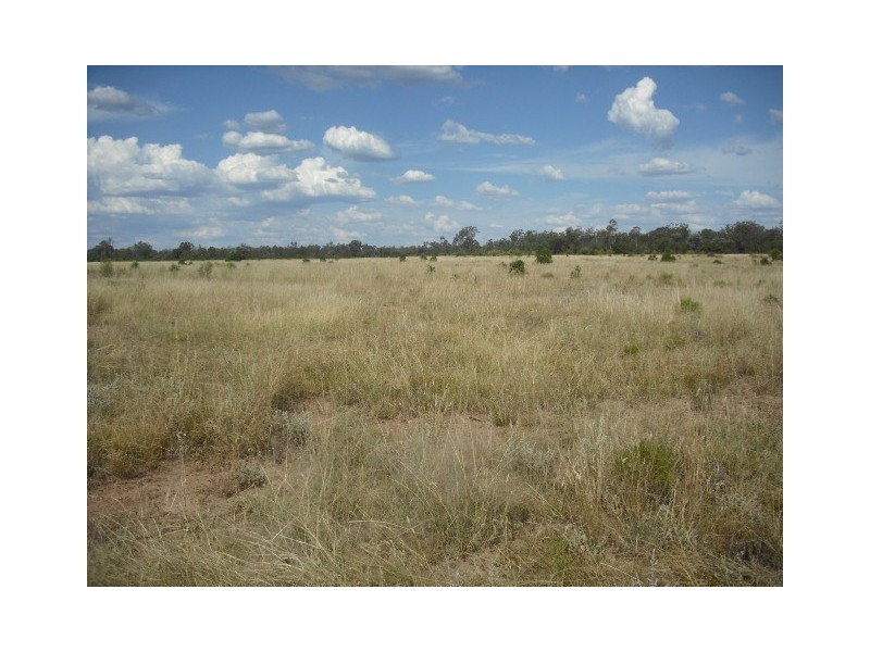 * Merton Rd, Goondiwindi QLD 4390